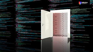 Backdoors To Access Networks